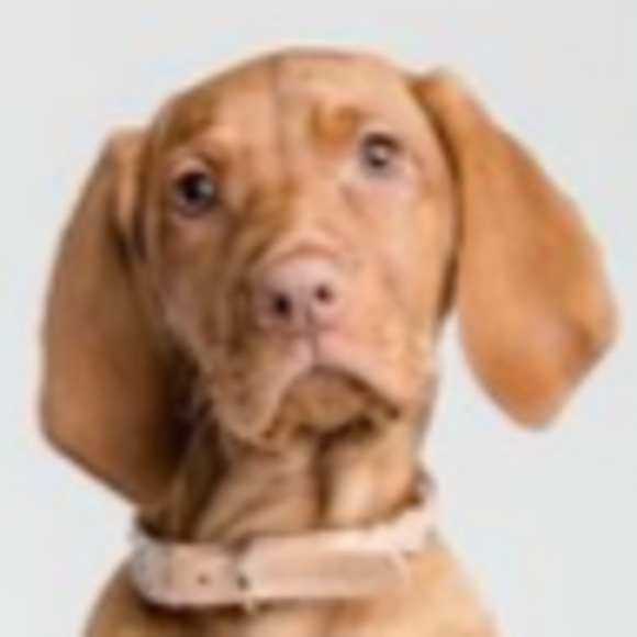 Meet your Posher, Saskia - Picture 1 of 1